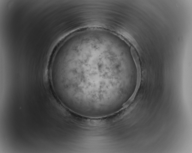 X0000090440928200707131217