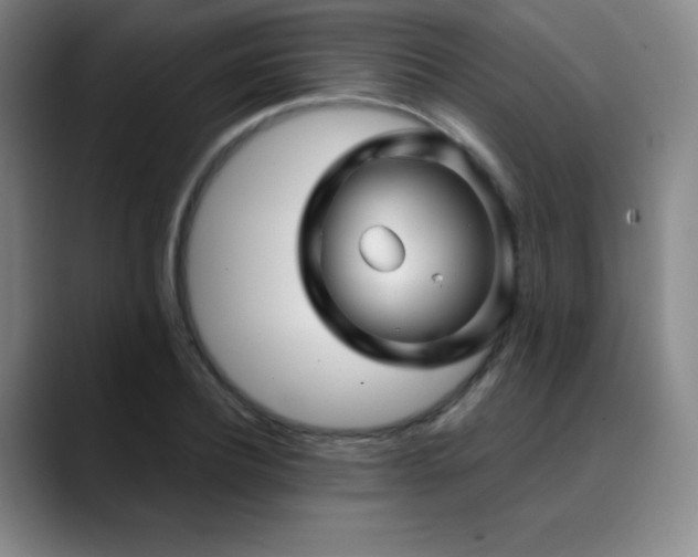 X0000090440932200707131217