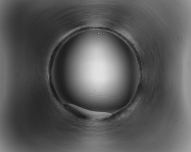 X0000090440935200707131217