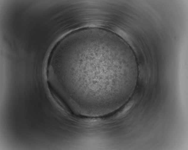 X0000090440939200707131217