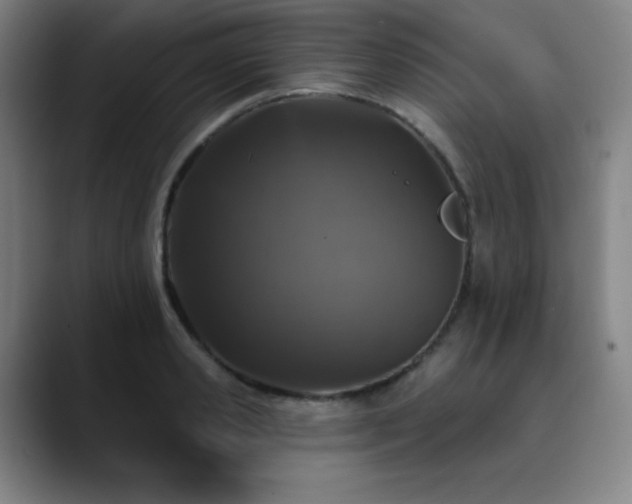 X0000090440941200707131217