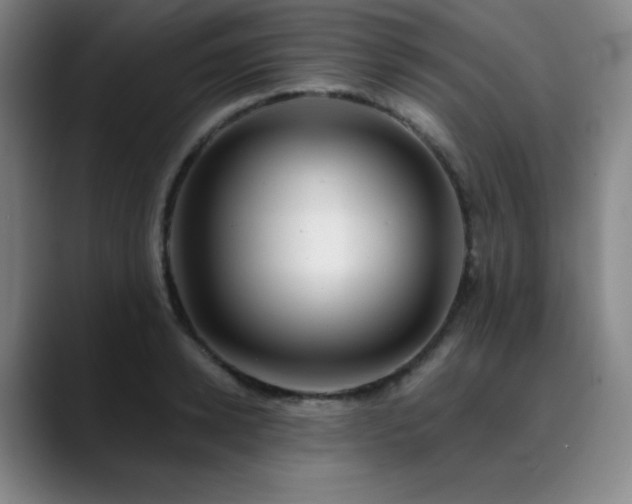 X0000090440942200707131217