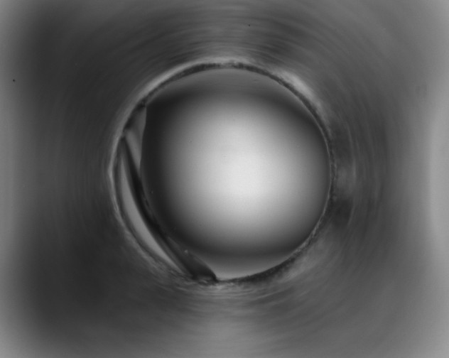 X0000090440943200707131217