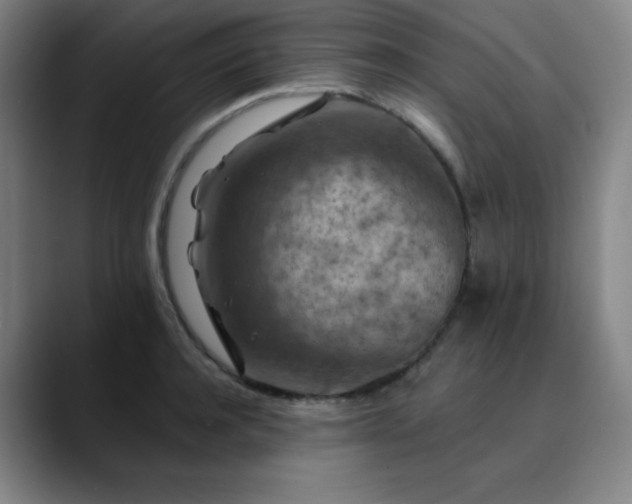 X0000090440944200707131217
