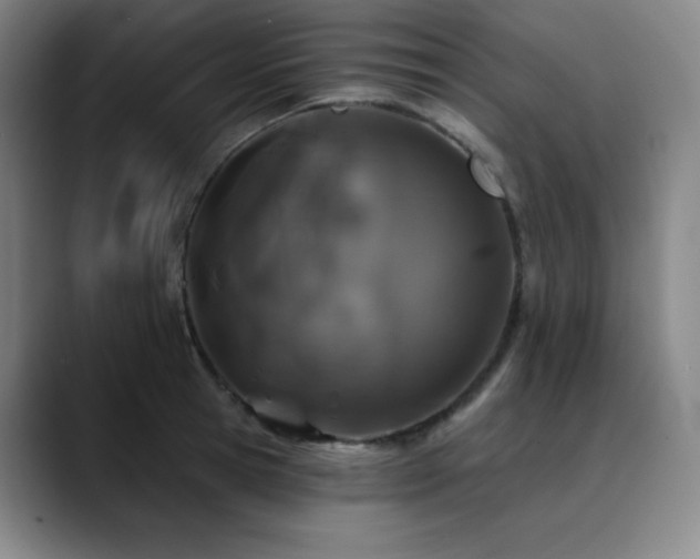 X0000090440945200707131217