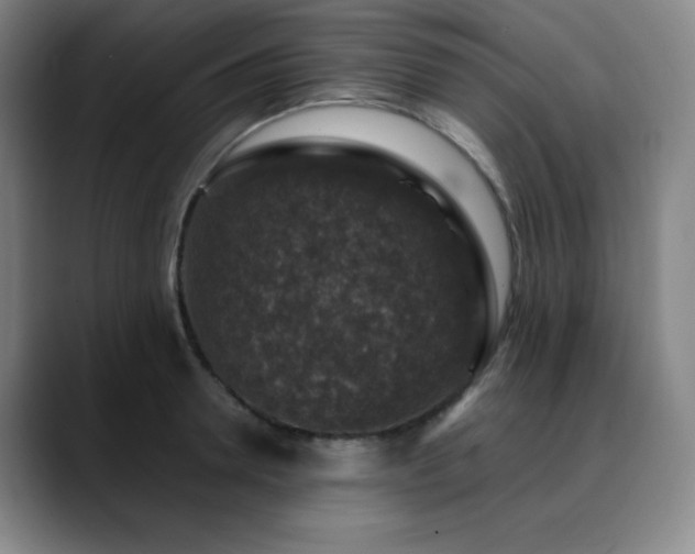 X0000090440946200707131217