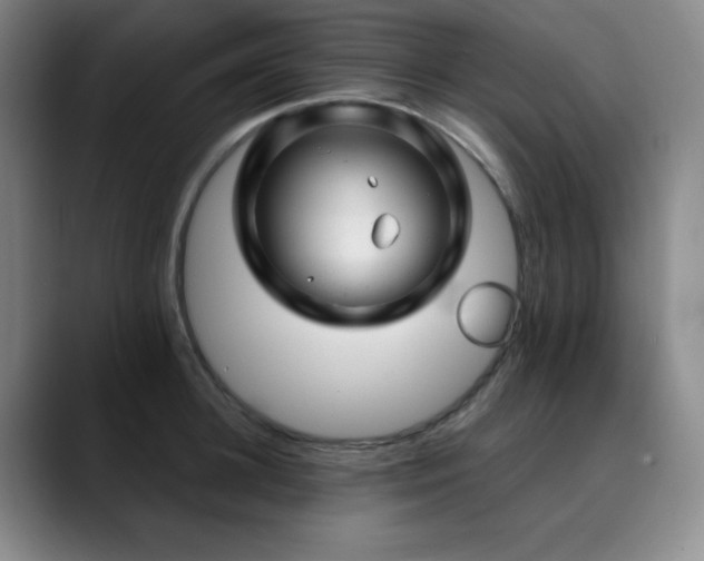 X0000090440948200707131217