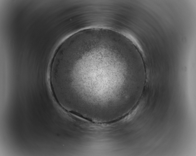 X0000090440952200707131217