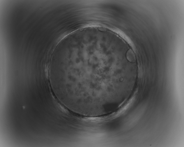 X0000090440953200707131217