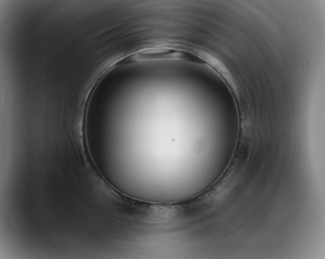 X0000090440954200707131217
