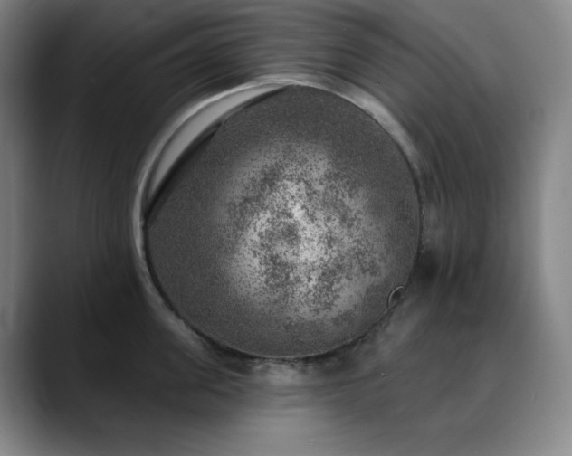 X0000090440955200707131217
