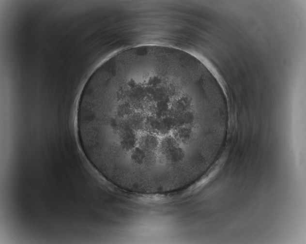X0000090440957200707131217