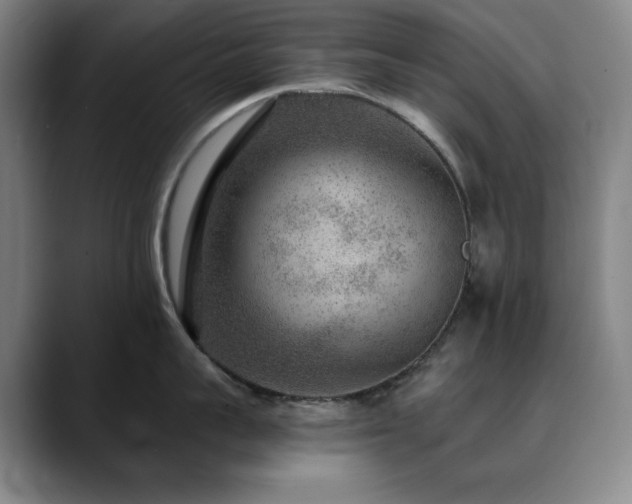 X0000090440959200707131217