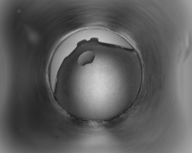 X0000090440960200707131217