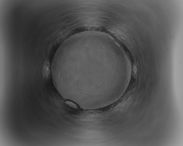 X0000090440963200707131217