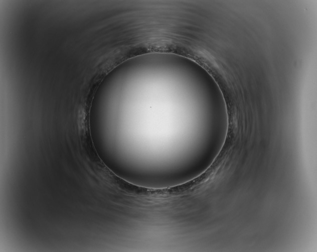 X0000090440964200707131217