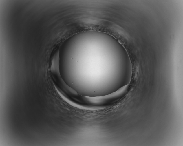 X0000090440965200707131216