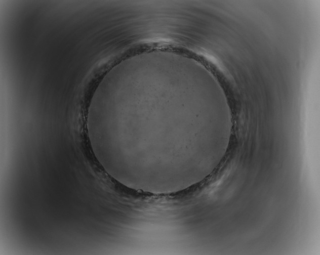 X0000090440967200707131216