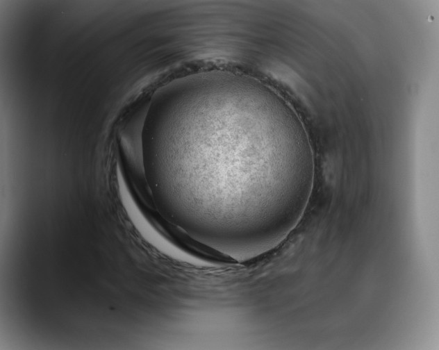 X0000090440968200707131216