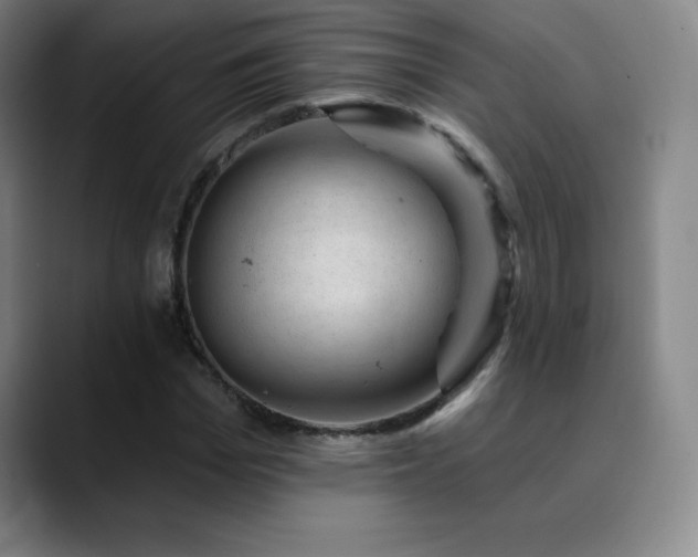 X0000090440969200707131216