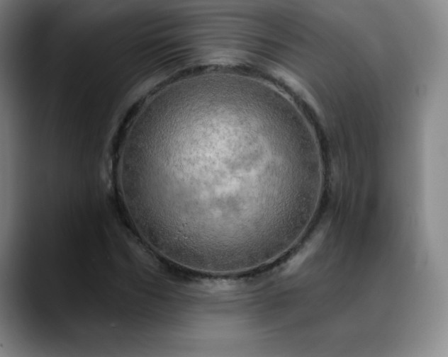 X0000090440970200707131216