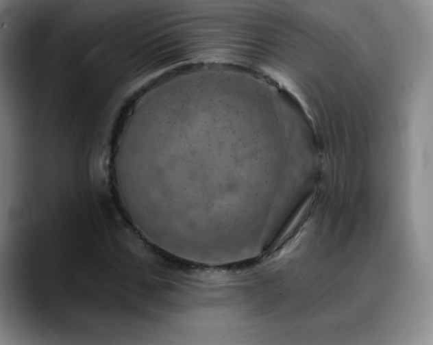 X0000090440971200707131216