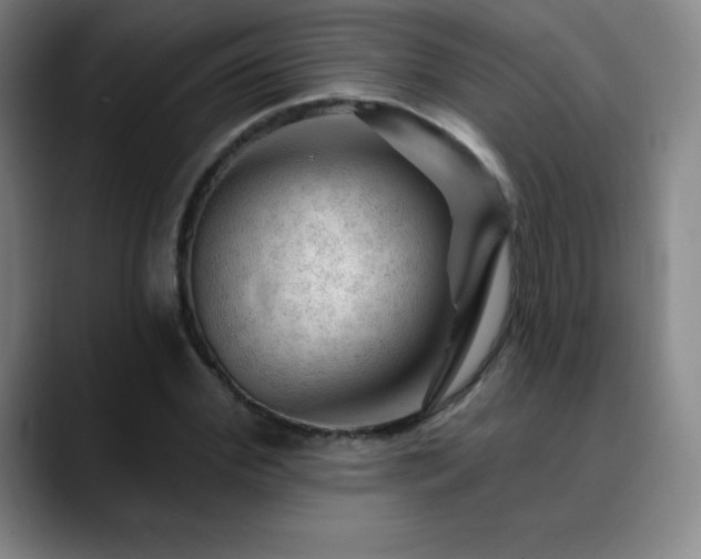 X0000090440972200707131216