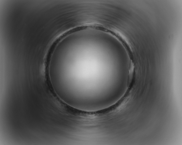 X0000090440975200707131216