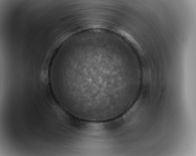 X0000090440977200707131216
