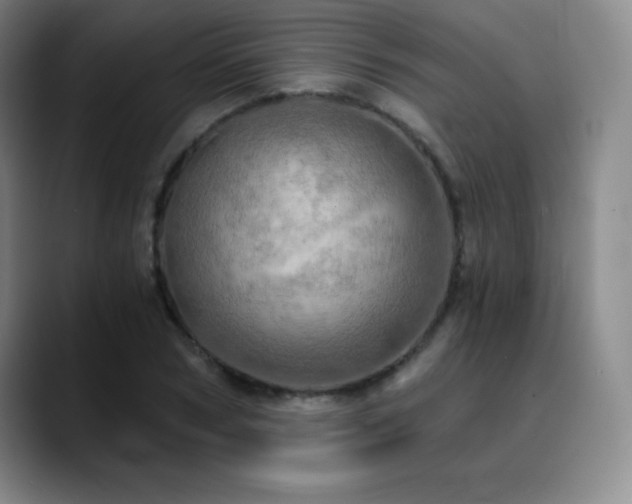 X0000090440978200707131216