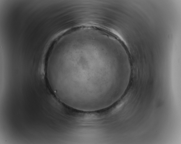 X0000090440979200707131216