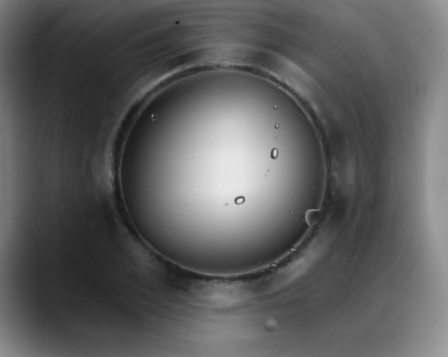 X0000090440981200707131216