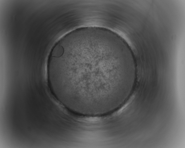 X0000090440982200707131216
