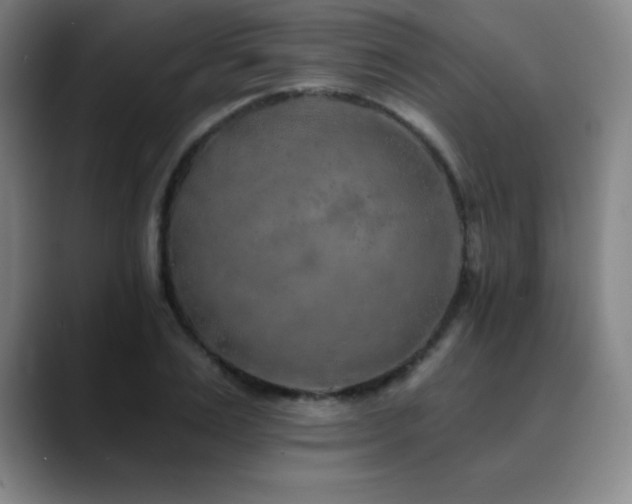 X0000090440983200707131216