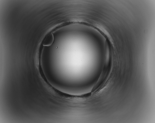 X0000090440984200707131216