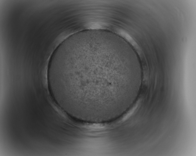 X0000090440986200707131216