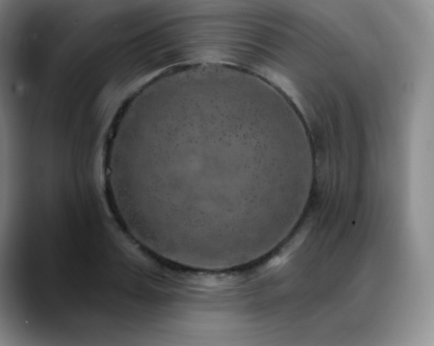 X0000090440987200707131216