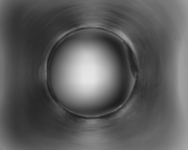 X0000090440988200707131216