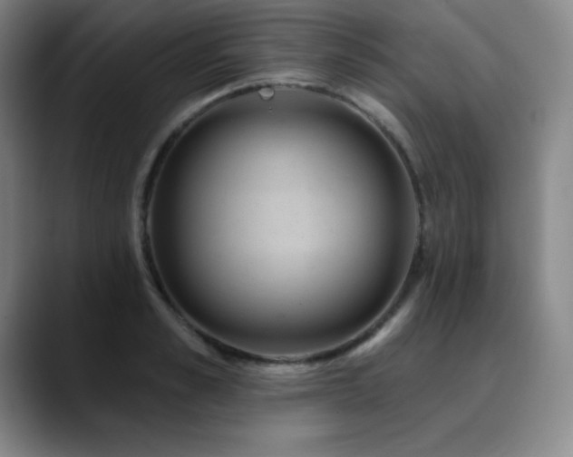X0000090440989200707131216