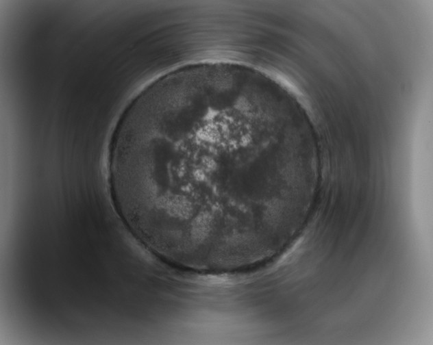 X0000090440990200707131216