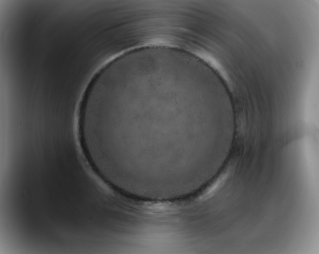 X0000090440991200707131216
