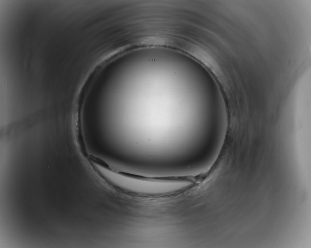 X0000090440992200707131216