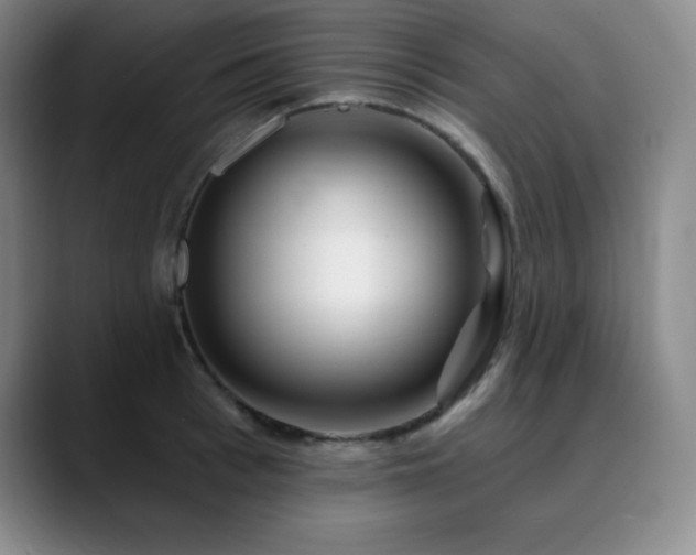 X0000090440993200707131216