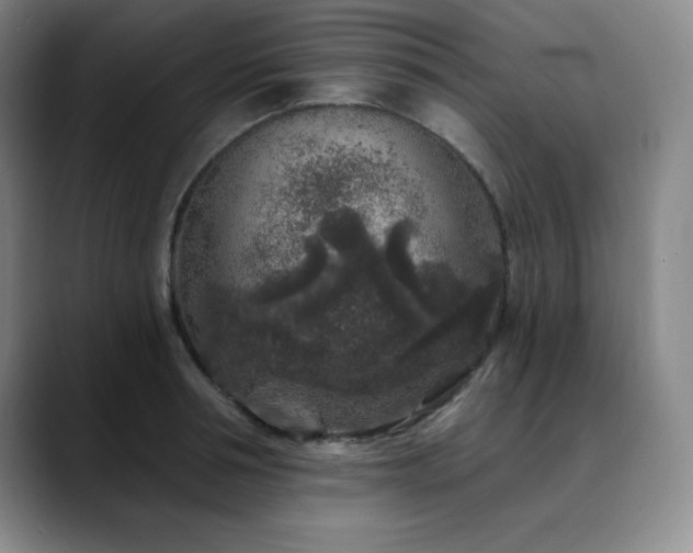 X0000090440994200707131216