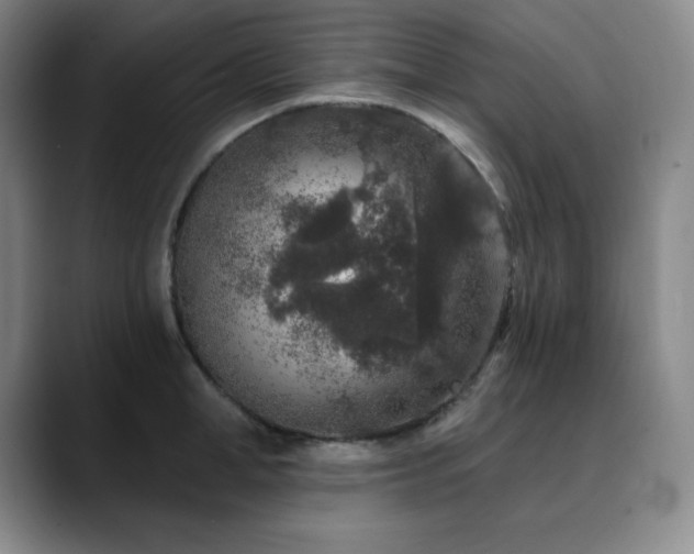 X0000090440998200707131216