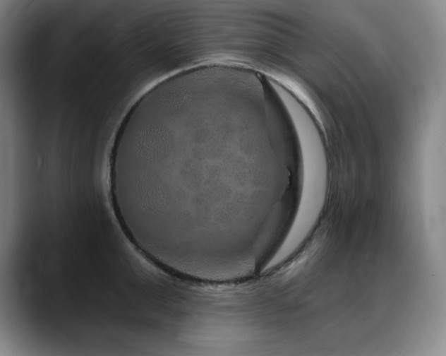 X0000090440999200707131216