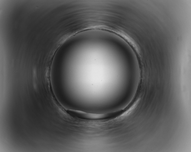 X0000090441001200707131216