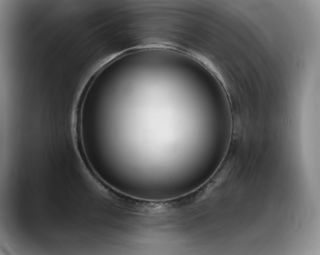 X0000090441003200707131216