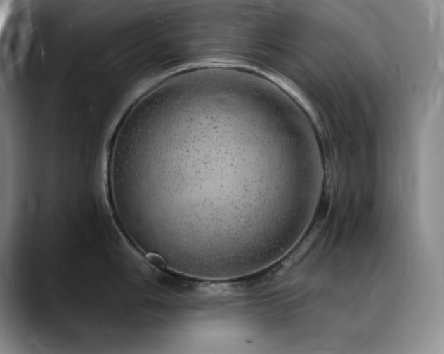 X0000090441006200707131216