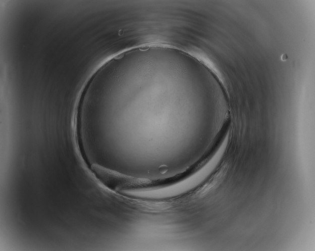 X0000090441007200707131216